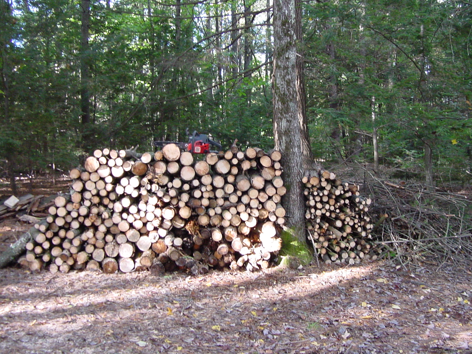 The wood pile after..