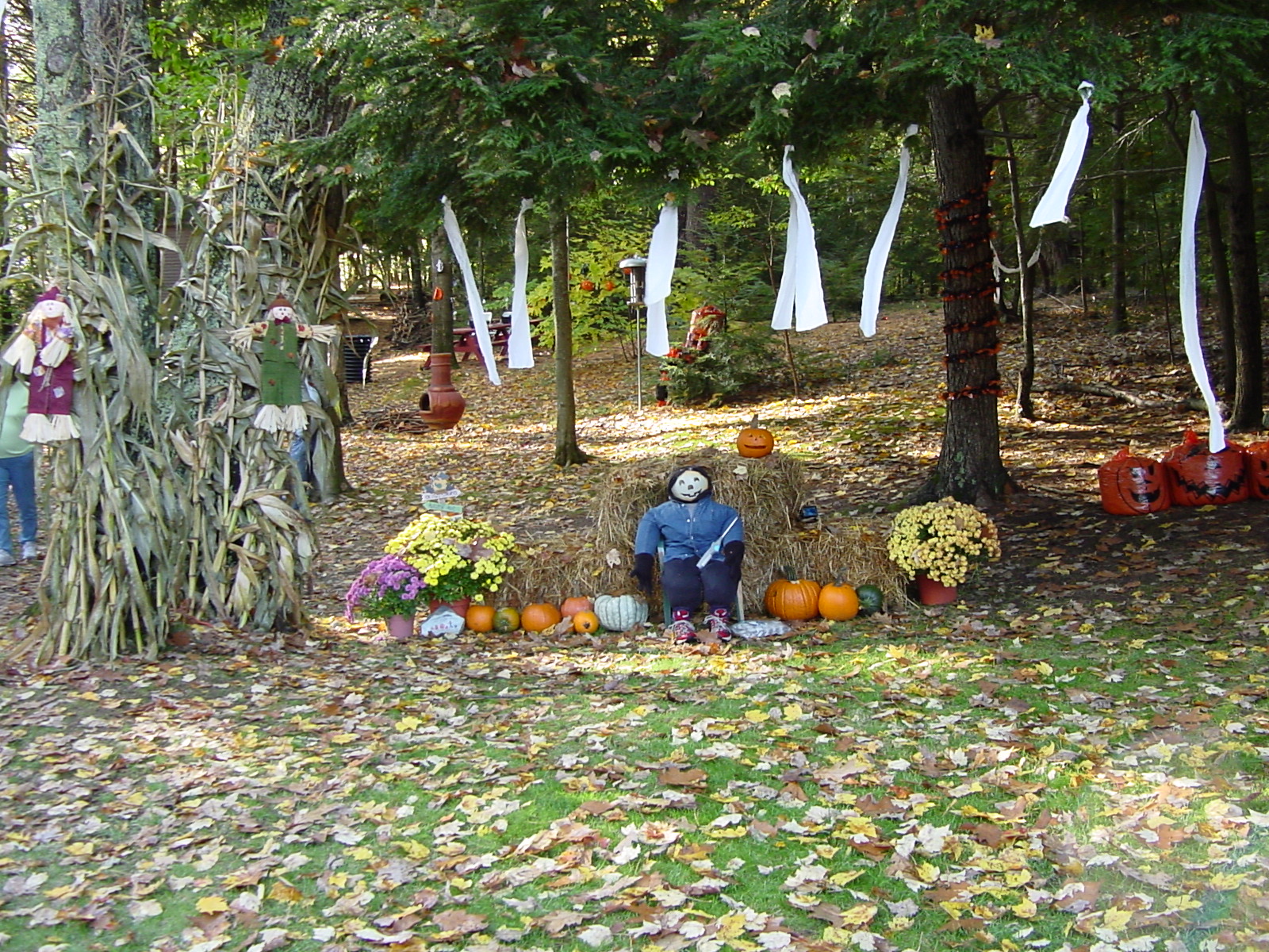 'Harvey' and the hay bales