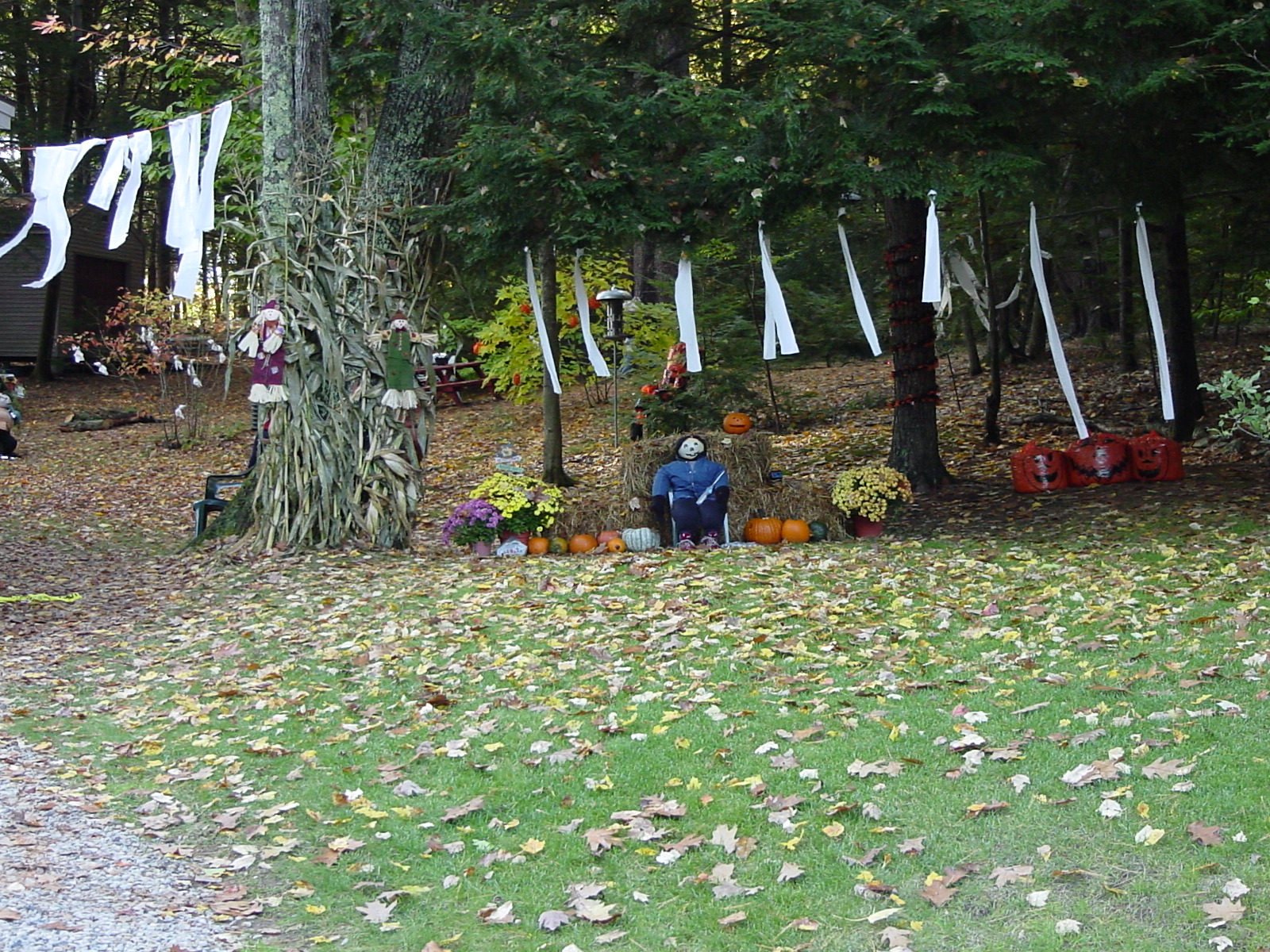 Halloween Bonfire entrance.