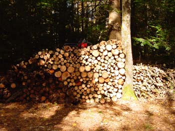 Wood pile after...