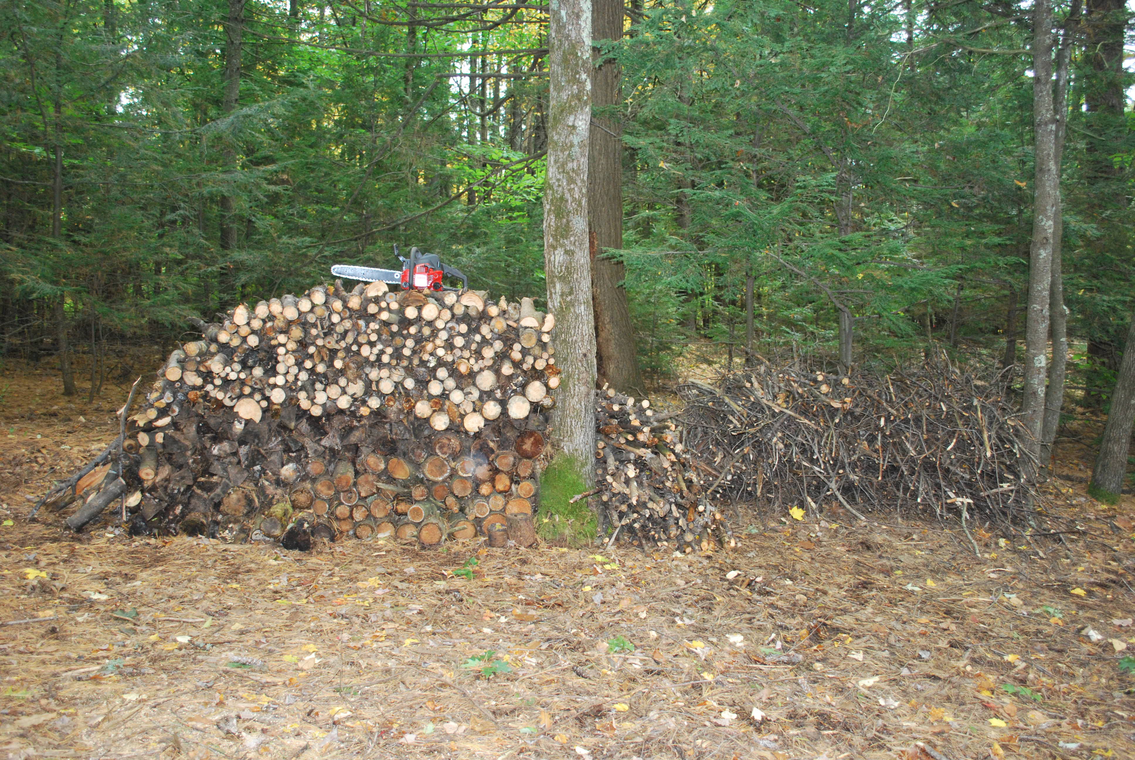 Wood Pile.