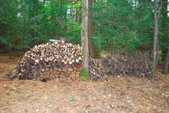 Wood Pile.