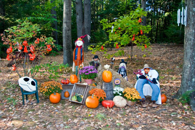 Pumpkins & Flowers