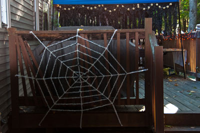 Spider Web