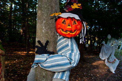 Pumpkinhead Scarecrow