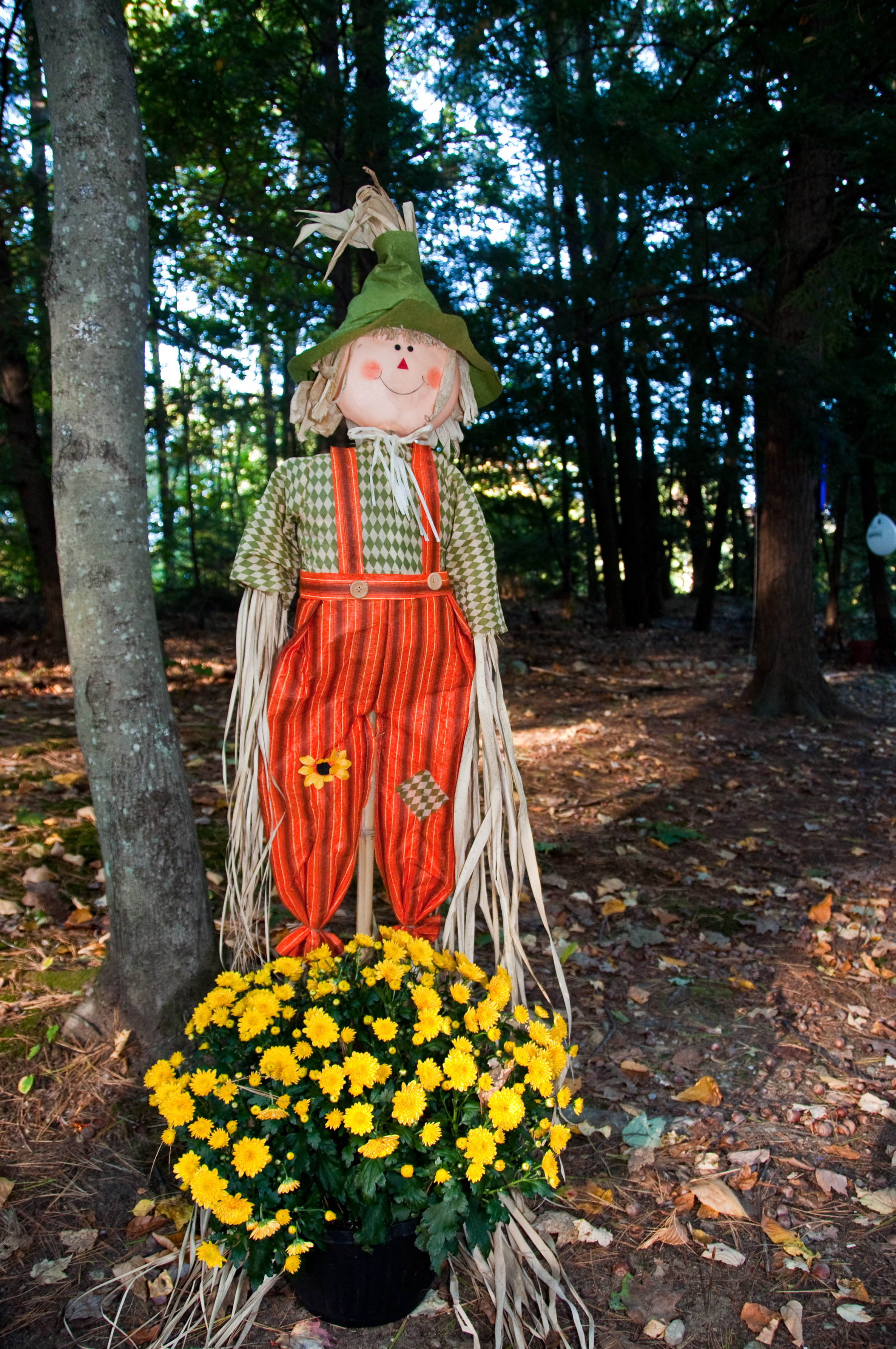 Scarecrow & Flowers