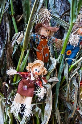 Small Scarecrows