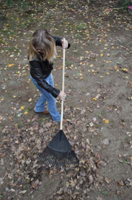 Deb raking.