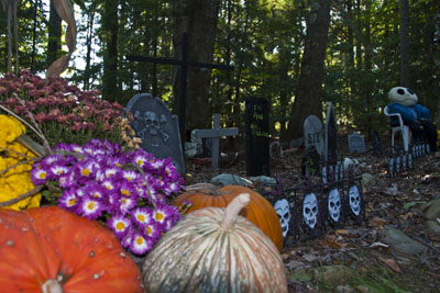 Headstones / Grave Yard